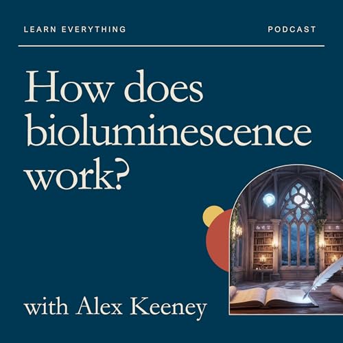 How does bioluminescence work?