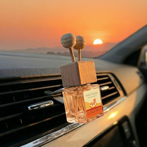 Image of Soul & Scents 16ml Luxury Car Perfumes Fresh | Citrus Drive | 2-in-1 Hanging Pod & AC Vent Air Freshener | Premium Wooden Car Fragrance Accessory | Long Lasting Odour Eliminator | Pack of 2
