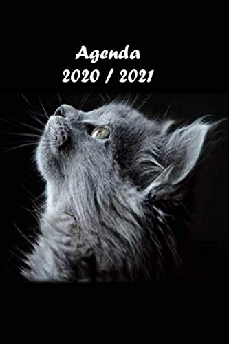 Télécharger Agenda scolaire 2020 2021: agenda journalier une page par jour, agenda semainier, étudiant, collèg Livre PDF Gratuit