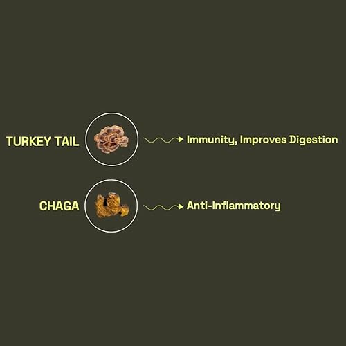 Miniatura 5 de Earth & Star Gomitas de hongos  Paquete variado de 3  Mezcla de 10 hongos  Apoyo inmunológico, cerebral e intestinal  Complejo de hongos con melena