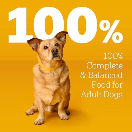 Image of Pedigree Choice Cuts Wet Dog Food Pouch, Beef Favorites, 3.5 oz, 30 Count | Beef favorites, 100% complete & balanced, slow cooked, 50%+ water for hydration, 36 vitamins & minerals
