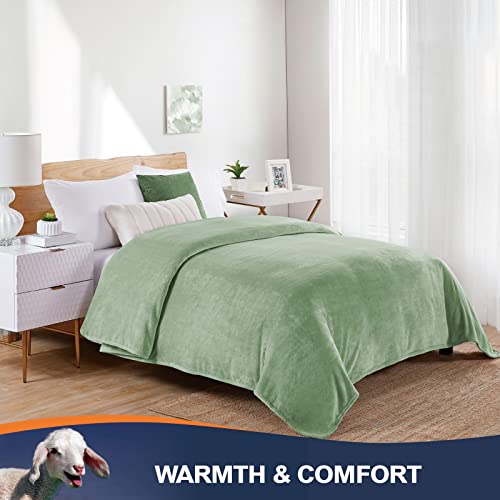 Walensee Fleece Blanket Plush Throw Fuzzy Lightweight (Throw Size 50X60 Sage Green) Super Soft Microfiber Flannel Blankets For Couch, Bed, Sofa Luxurious Warm And Cozy For All Seasons #TOP4