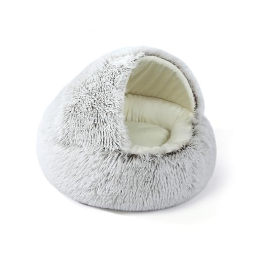 SHIHEER LpnEX ybgxbh h[^ ӂӂ 􂦂 p ~p ʔNp h ۉ LbgnEX ^`^L p  ΍ g  2-BEIKEBFB