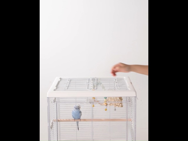 Amazon | BUCATSTATE 鳥かご インコ ケージ 鳥籠 鳥 ケージ 大型 【鳥