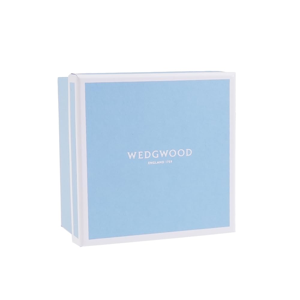 Amazon.co.jp: ウェッジウッド (WEDGWOOD) フロレンティーンフューシャ