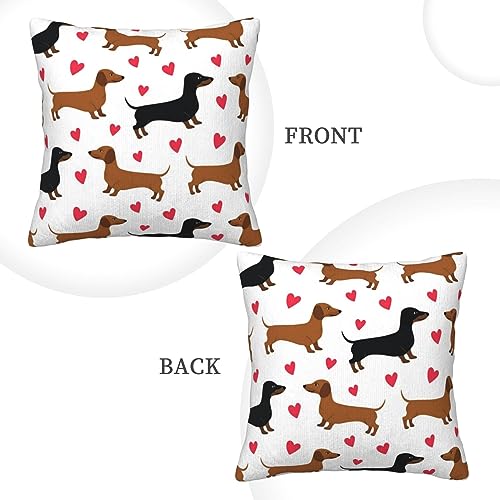Housse de coussin teckel 50x50 pour rénover votre canapé facilement