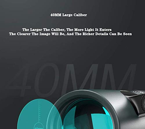 Binocolo Vortex 8-10x42, telescopio binocolo