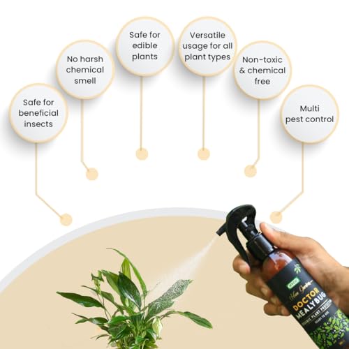 Image of IFFCO Urban Gardens - Doctor Mealybug 200 ml - A Ready-to-Use Mealy Bug & Fungus Repellent Spray - 100% Organic plant spray - Safe for all types of Indoor & Outdoor plants