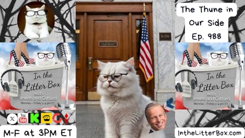 The Thune in Our Side | In the Litter Box w/ Jewels Jones & Catturd &ndash; Ep. 988 &ndash; 3/16/2026