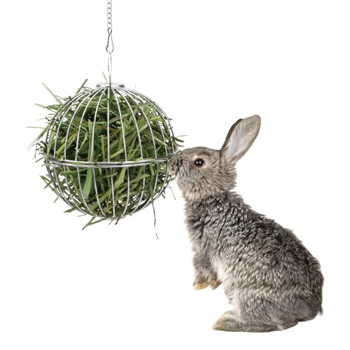 FORZENA Premium Stainless Steel Sphere Hay Ball Feeder with Hanging Feature - Ideal Feed Dispenser & Toy for Bunny, Hamster, Guinea Pig, Rat, Chinchilla & Small Animal Hay Feeding (Hang Style)