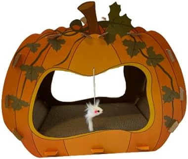 petsmart pumpkin bed