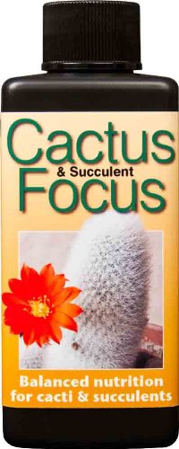 Cactus Focus 100ml