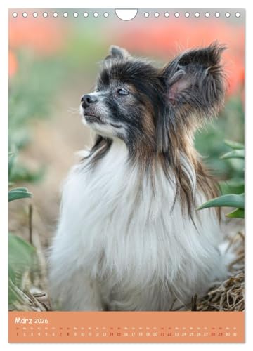Flora Canidae - der Hunde-Blühpflanzen-Kalender (Wandkalender 2026 DIN A4 hoch), CALVENDO Monatskalender: Hunde und blühende Pflanzen streicheln die Seel, sie machen glücklich! (CALVENDO Tiere)