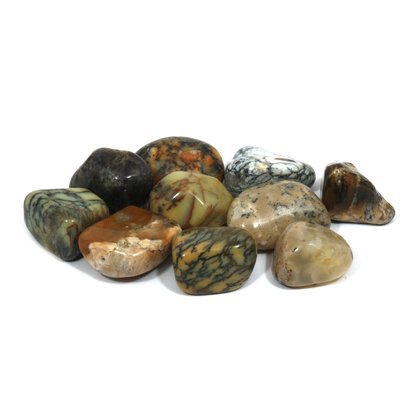 CrystalAge Merlinite Tumble Stone (20-25mm) - Pack of 5