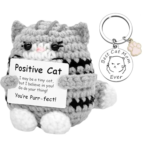 PLUSHCEWT Handgewäkelte Pocket Hug Katze mit Glücksbringer Spielmünzen kleine Ubmung Geschenk der Ermutigung Anti-Stress Kuscheltier für Emotionale Unterstützung Mutmacher Geschenk für Frauen
