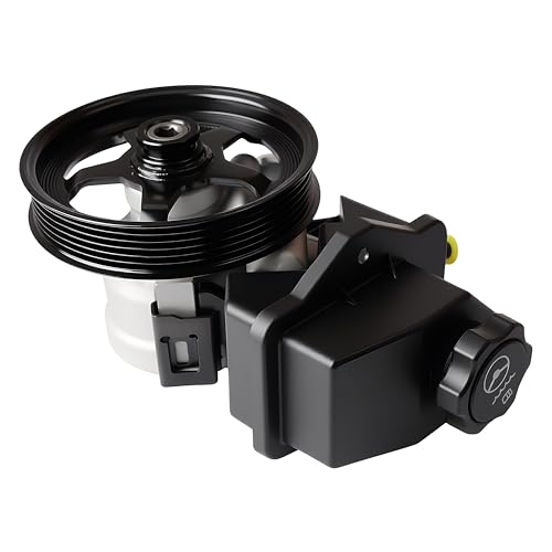 Loautong 20-69989 Power Steering Pump with Pulley Reservoir for Chevy