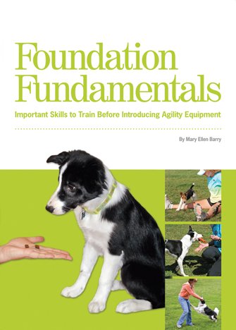 Foundation Fundamentals