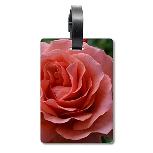 Étiquette pour valise motif roses vertes aux finitions soignées