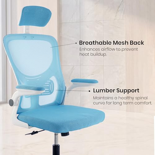 Image of Casa Copenhagen Blue White | High Back Imported Mesh Fabric Boss Office Chair | Y Design Ergonomic Back Support | 2D Aero Design Adjustable Armrests | Synchro Tilt Lock Mechanism Support
