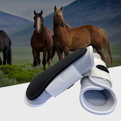 Botas antimoscas para caballos y vendas protectoras de patas 4