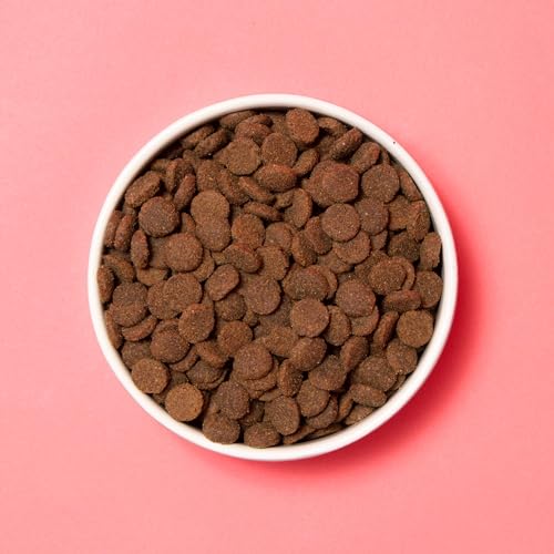 Pooch & Mutt - Getreidefreies Primal Hundetrockenfutter mit hohem Proteingehalt, Wildschwein-Geschmack, 1,5 kg