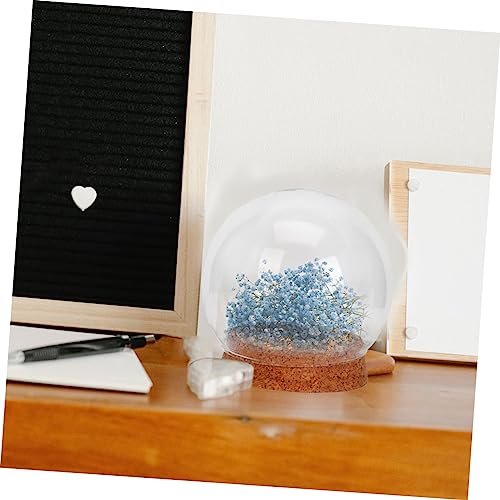 Cloches en verre transparent Cabilock contre la poussière des fleurs - 6