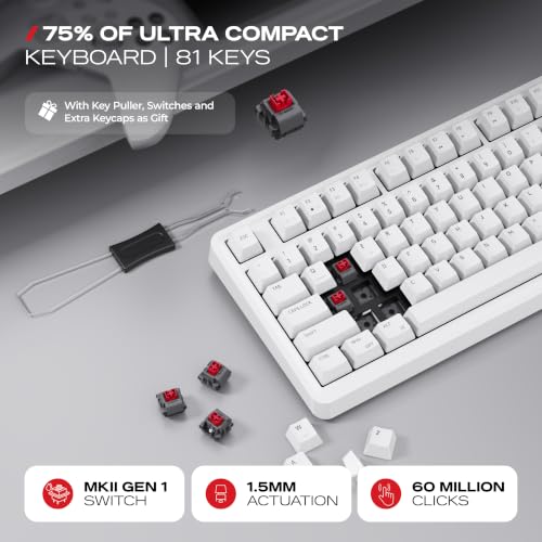 Image of Cybeart | Nighthawk 75 - TKL Wireless RGB Mechanical Keyboard | MKII Pre-Lubed Switches | 4000 mAh Battery | 5-Layer Gasket | Hot-Swappable | Tri-Mode (White)