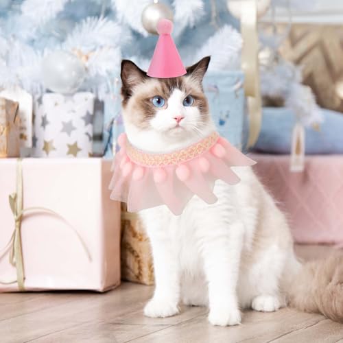 Conjunto de cachecol de chapéu de aniversário de gato rosa, bandana, gato, princesa, lindo, bandana