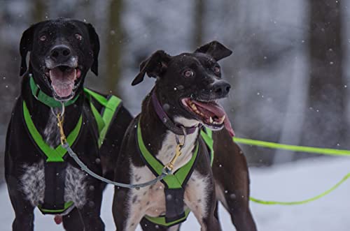 Slider Ultra Zuggeschirr für Schlittenhunde I Schwarz Größe M I 23-27 kg I Powered by Alaskastore.de