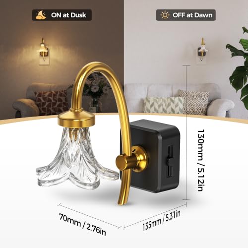 Image of Night Lights Plug into Wall,Dusk to Dawn Dimmable Glass Flower LED,3000K