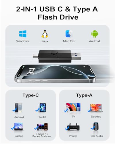 RAOYI 256GB USB C Flash Drive