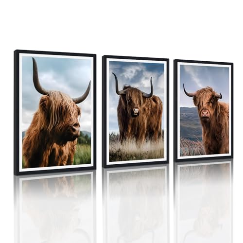 Funny Highland Cow Framed Canvas Wall Art 3 Pieces Highland Cow Portrait Wall Decor for Country Apartment Living Room Bedroom Rustic Vintage Animals Artwork Decoration Easy to Hand 24x36inchx3pcs