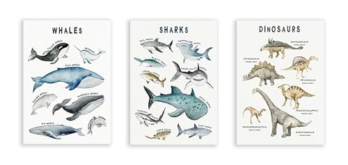 Affiche toile animaux marins et dinosaures pour créer un coin lecture apaisant