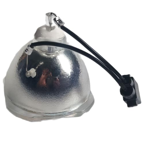 Lampe projecteur LPLP97 haute luminosité pour EBX400 et TW740
