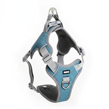 Coleira Peitoral Antipuxão para Cachorro MADOG Comfort (P, Azul)