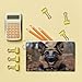 RLDOBOFE German Shepherd Coin Purse Small Cash Coin Purse Pouch Mini Canvas Change Purse with Zipper Cute Coin Pouch Fashion Coin Wallet Slim Cash Change Wallet for Cards Keys Lipsticks