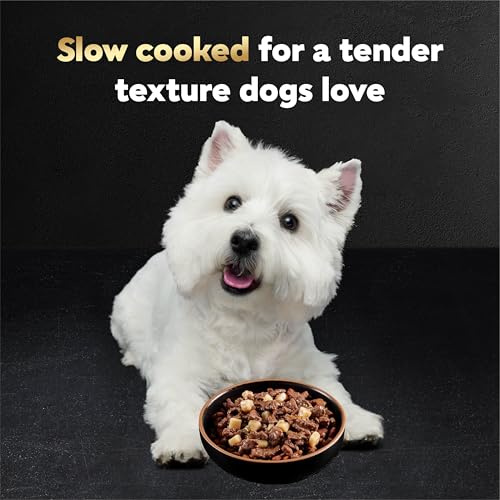 Image of Cesar Home Delights & Loaf Wet Dog Food, Variety Lovers, 36 count, 2 pack