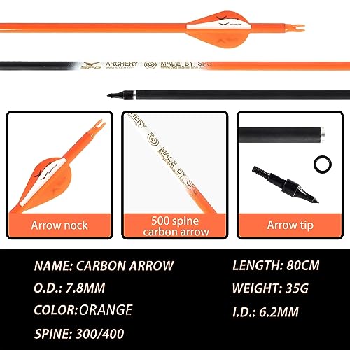 image for SPG 31 Inch Archery Arrows for Recurve, Durable Practice Arrows for Co