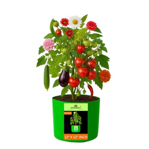 Image of Kingwell Plant Grow Bags 12x12 inch pack of 1, Bags for Plants Gardening Home, Grow Bags for Terrace Gardening