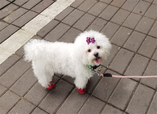 SMDARROY Dog Shoes Mesh Breathable Soft Sole Shoes for Dogs Bichon Teddy Pet Shoes Dog Boots (Pack of 8), 2 sets of red shoes - Image 4