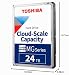 Toshiba Enterprise MG11ACA24TE 24 TB