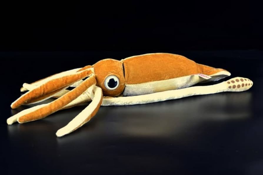 Amazon.co.jp: ダイオウイカ ぬいぐるみ リアル 本物そっくり