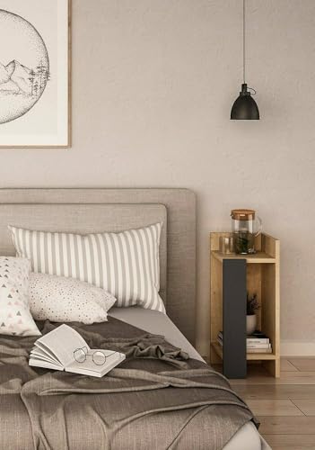 Dmora Mesita de Noche Libra, cómoda Baja, Mesa de Noche, Estante de Cama, 25 x 27 x 60 cm, Roble y Antracita