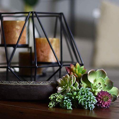 IMIKEYA 14 peças de mini plantas suculentas artificiais sem vaso, suculentas falsas podem escolher c