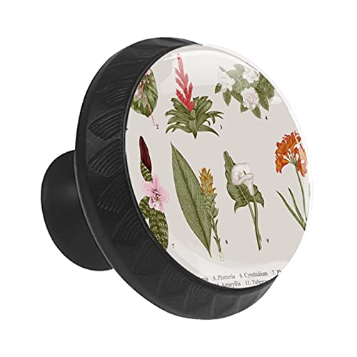 Boutons de tiroir 35 mm pour remplacer les poignées de commode - 3