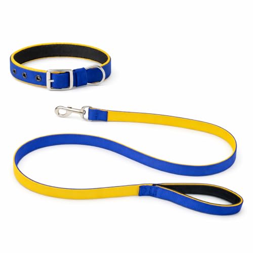 Image of Dog Leash with Padded Handle and Padded Collar Set | Adjustable Nylon Dog Collar & Heavy Duty Leash with Strong Metal Clip | Useful for Small Medium Large Dogs (Blue & Yellow)