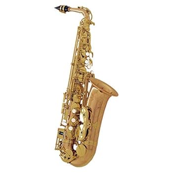 サックス アルトサックス 管楽器 レッド 彫刻 ケース付 41M6X2Ok3NL.jpg_BO30,255,255,