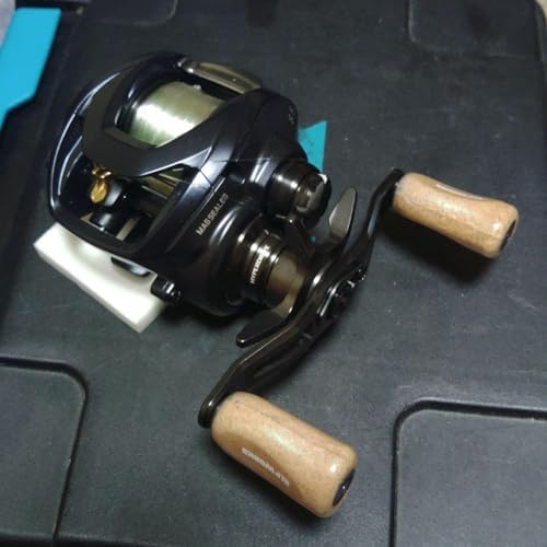 ダイワ スティーズA2 TW1000XHL 21 