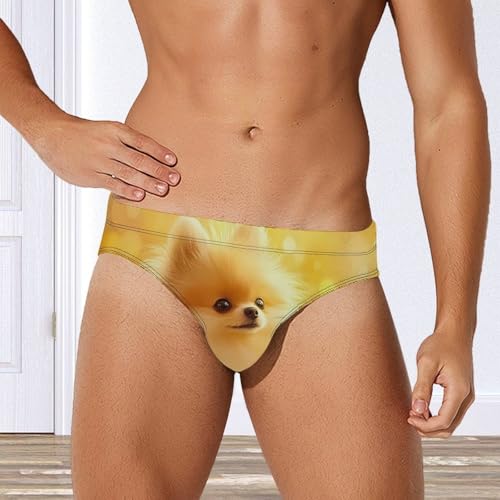Cute Fluffy Pomeranian Men's Swim Trunks Briefs Swimsuit Swimwear Bathing for Underwear Beach3