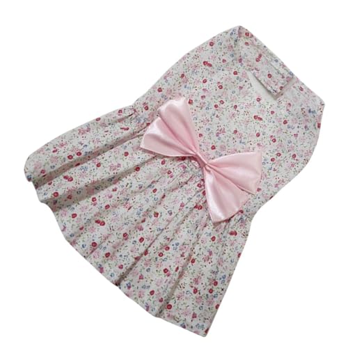 MOTHNUR hX ѕtXJ[g ʋC yʂŒSnǂ ^q Up[eB[